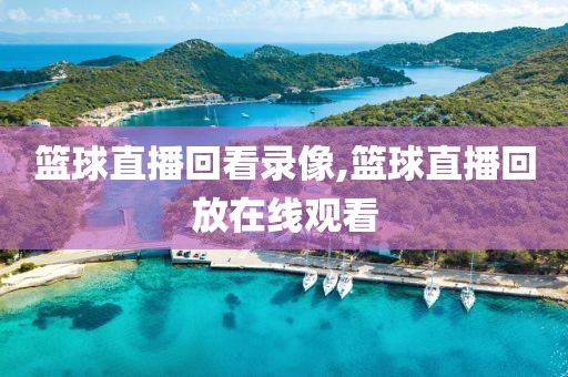 篮球直播回看录像,篮球直播回放在线观看