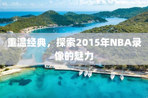 重温经典，探索2015年NBA录像的魅力