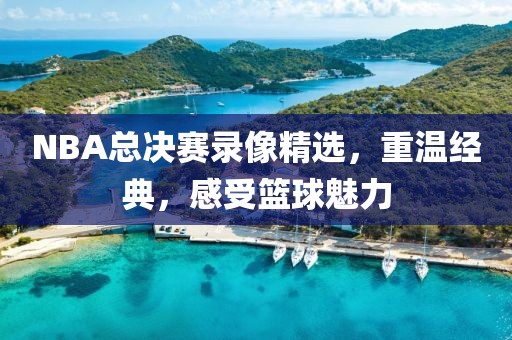 NBA总决赛录像精选，重温经典，感受篮球魅力