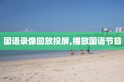 国语录像回放投屏,播放国语节目