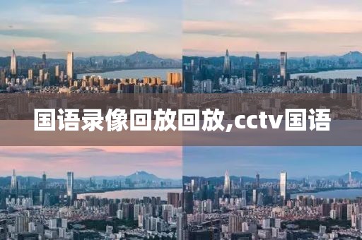 国语录像回放回放,cctv国语