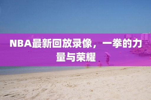 NBA最新回放录像，一拳的力量与荣耀