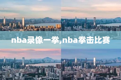 nba录像一拳,nba拳击比赛