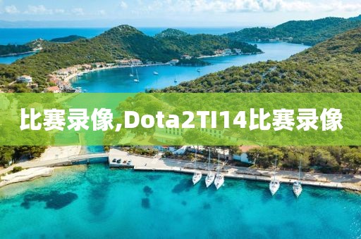 比赛录像,Dota2TI14比赛录像