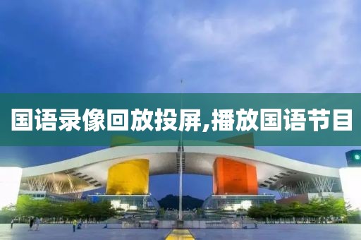 国语录像回放投屏,播放国语节目